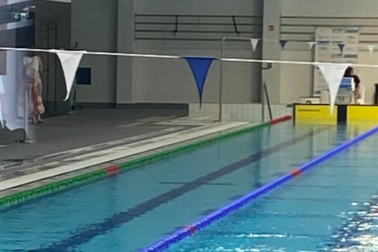 Tehetsges szink jabb versenyeredmnyei