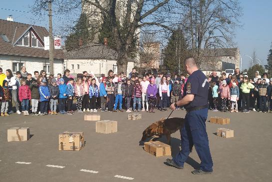 Pályaorientációs nap az Olcsaiban