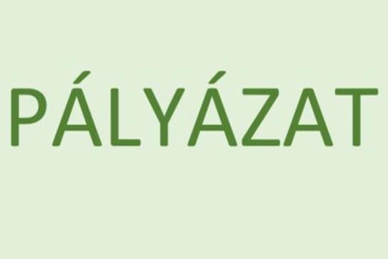 Intzmnyvezeti plyzatok