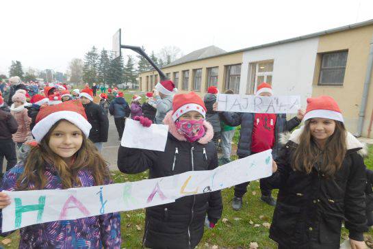 Mikuls futs 2019